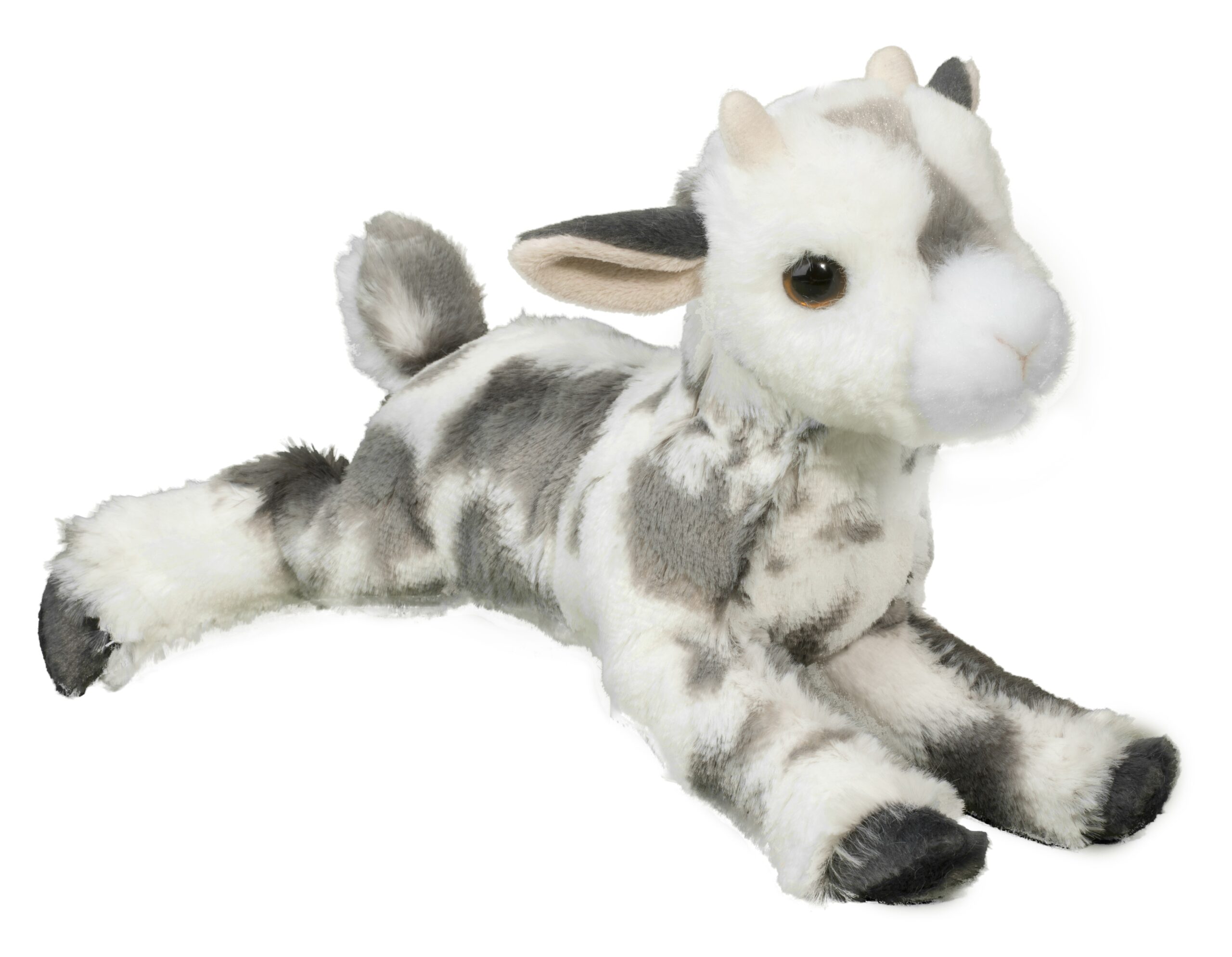 1549-scaled-1-scaled-1.jpg Poppy Goat - Image 1