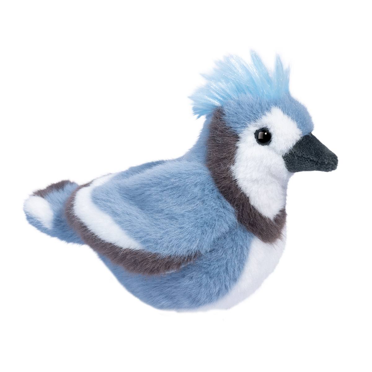 1574.jpg Denim Blue Jay - Image 1