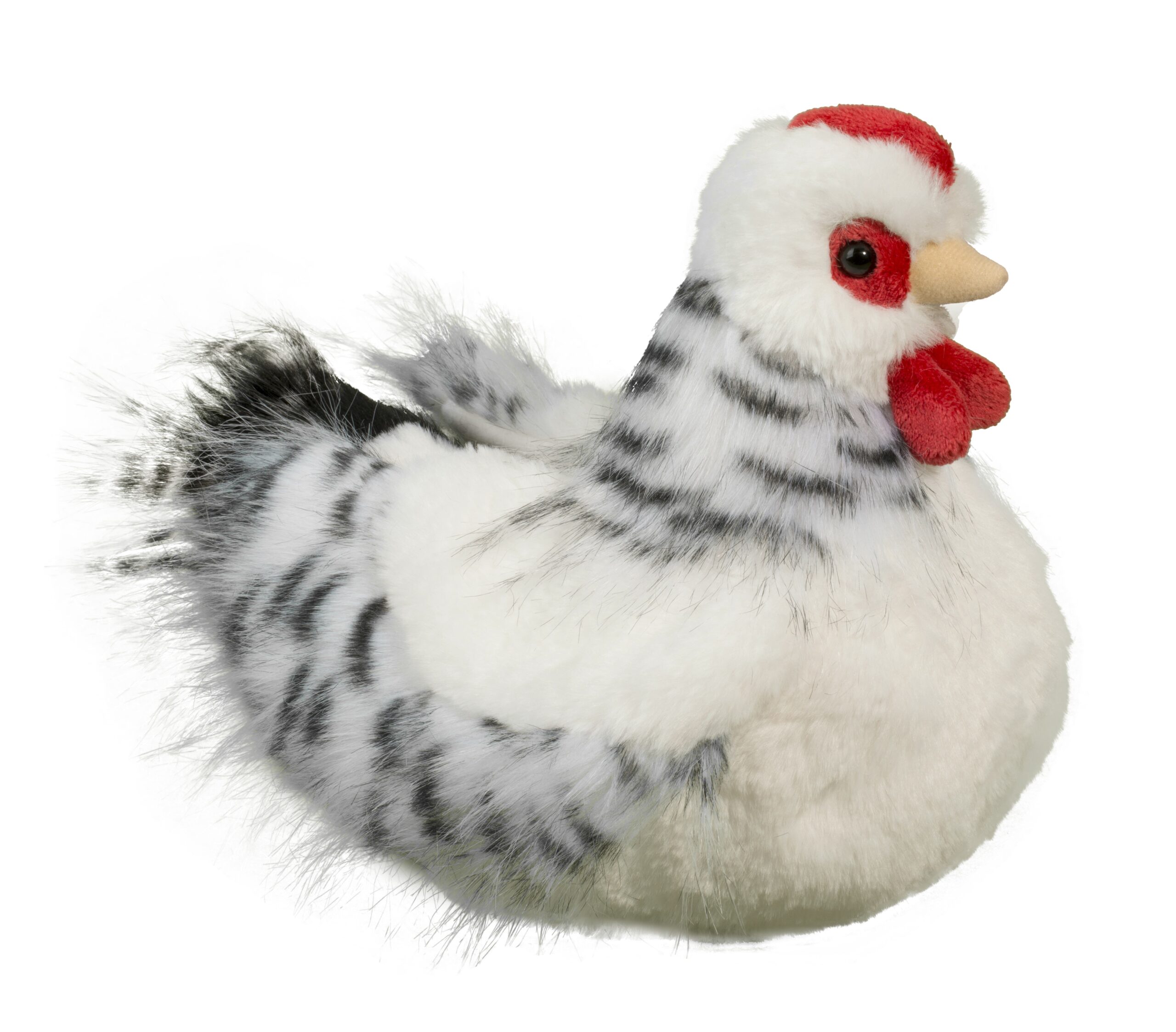 1792-scaled-1-scaled-1.jpg Salty Black & White Hen - Image 1