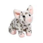 Pauline Spotted Pig, Small