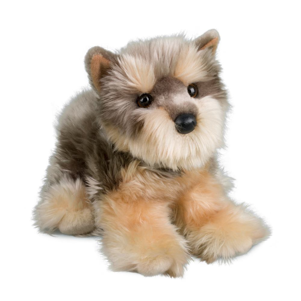 1897-1.jpg Yettie Yorkie - Image 1