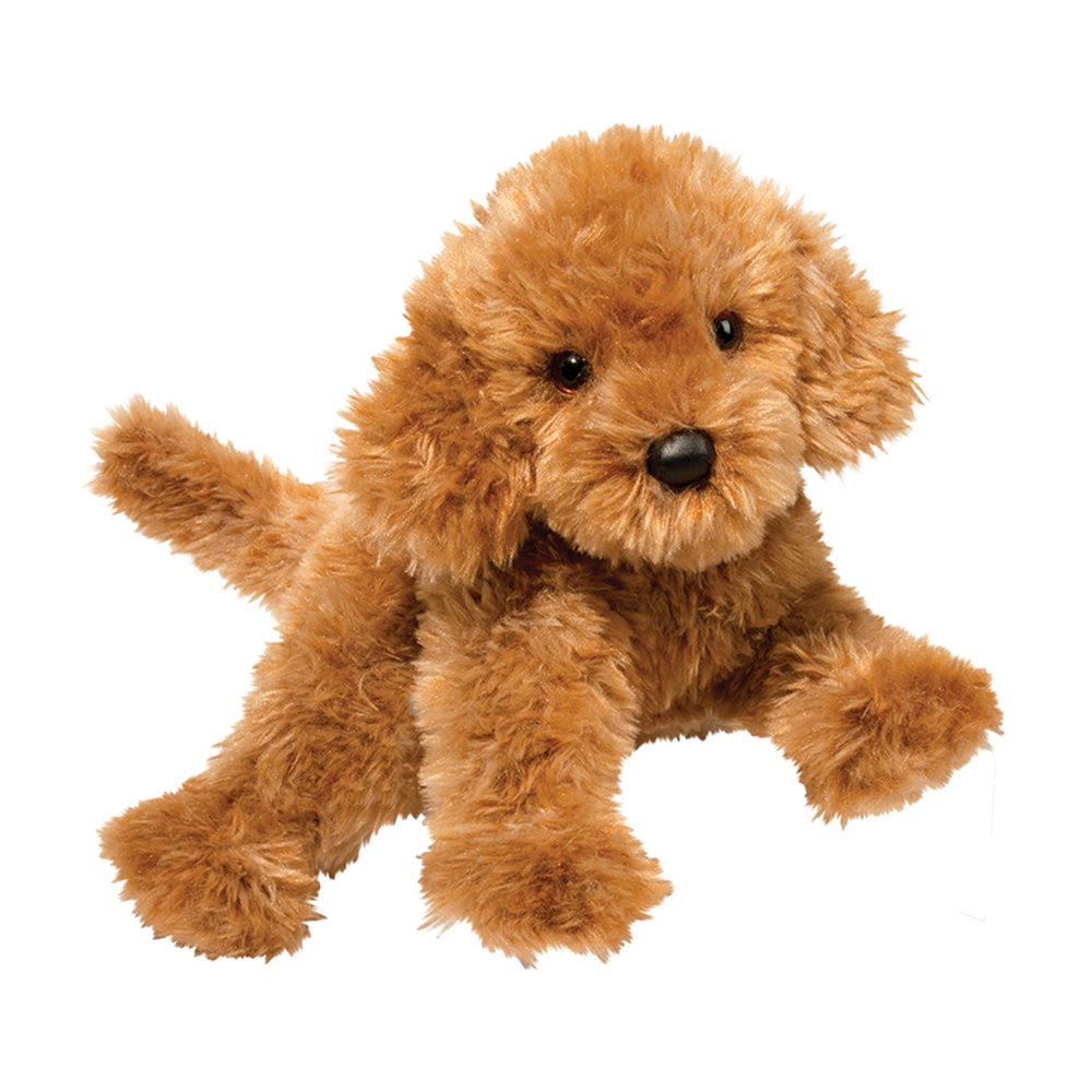 2034.jpg Addie Caramel Labradoodle - Image 1