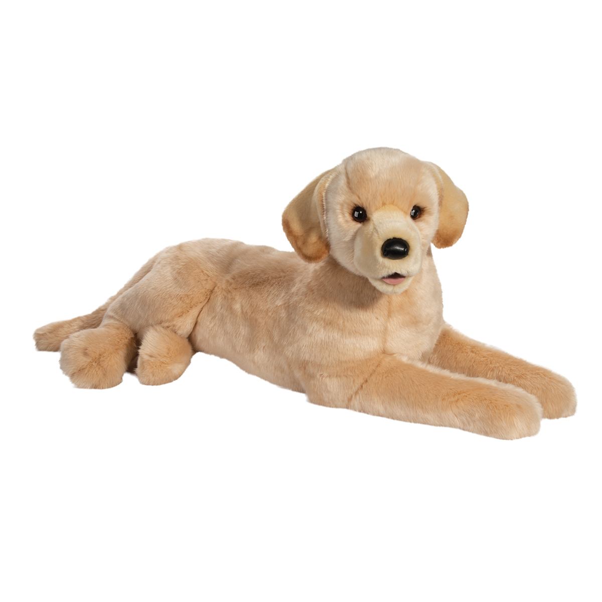 2468.jpg Sadie Yellow Lab - Image 1