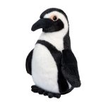 Zuri African Penguin