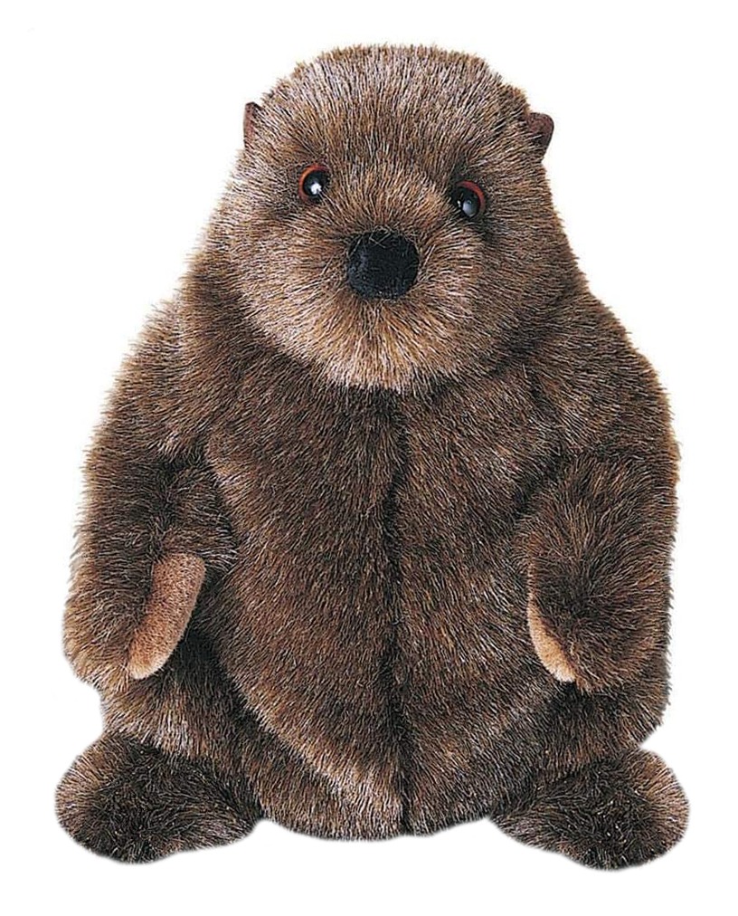 chuckwood-EDIT.jpg Chuckwood Groundhog - Image 1